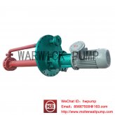 MOLTEN SALT PUMP