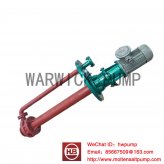 MOLTEN SALT PUMP