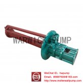 MOLTEN SALT PUMP