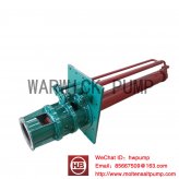 MOLTEN SALT PUMP