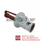 MOLTEN SALT PUMP