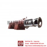 MOLTEN SALT AXIAL FLOW PUMP